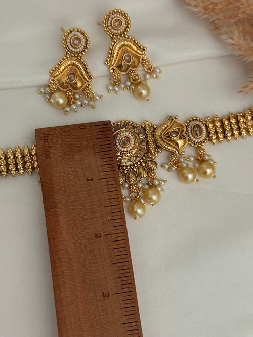 Saya choker Set x jhumki