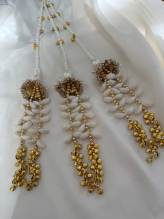 Kashmiri pearl Paranda