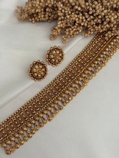 Palak Choker Set