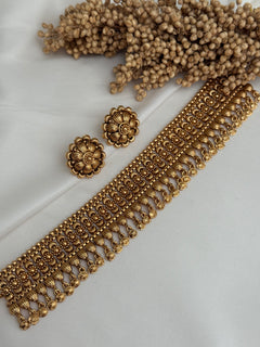Palak Choker Set