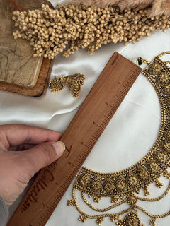 Neha Necklace Set