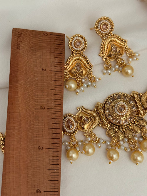 Saya choker Set x jhumki