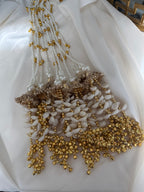 Kashmiri pearl Paranda